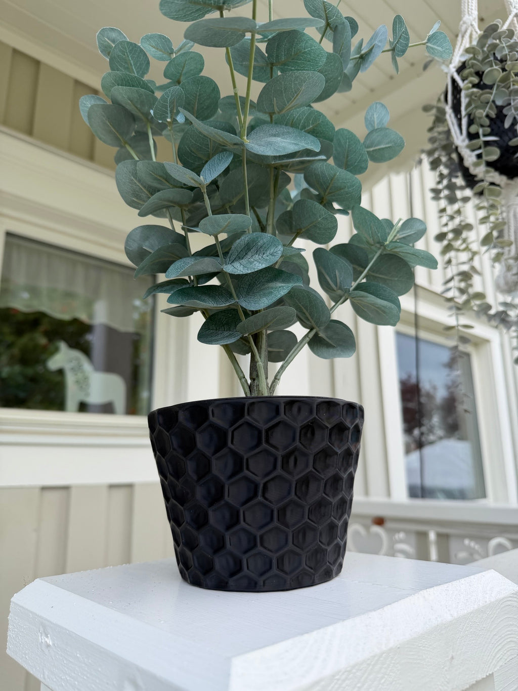 Blomkruka Honeycomb